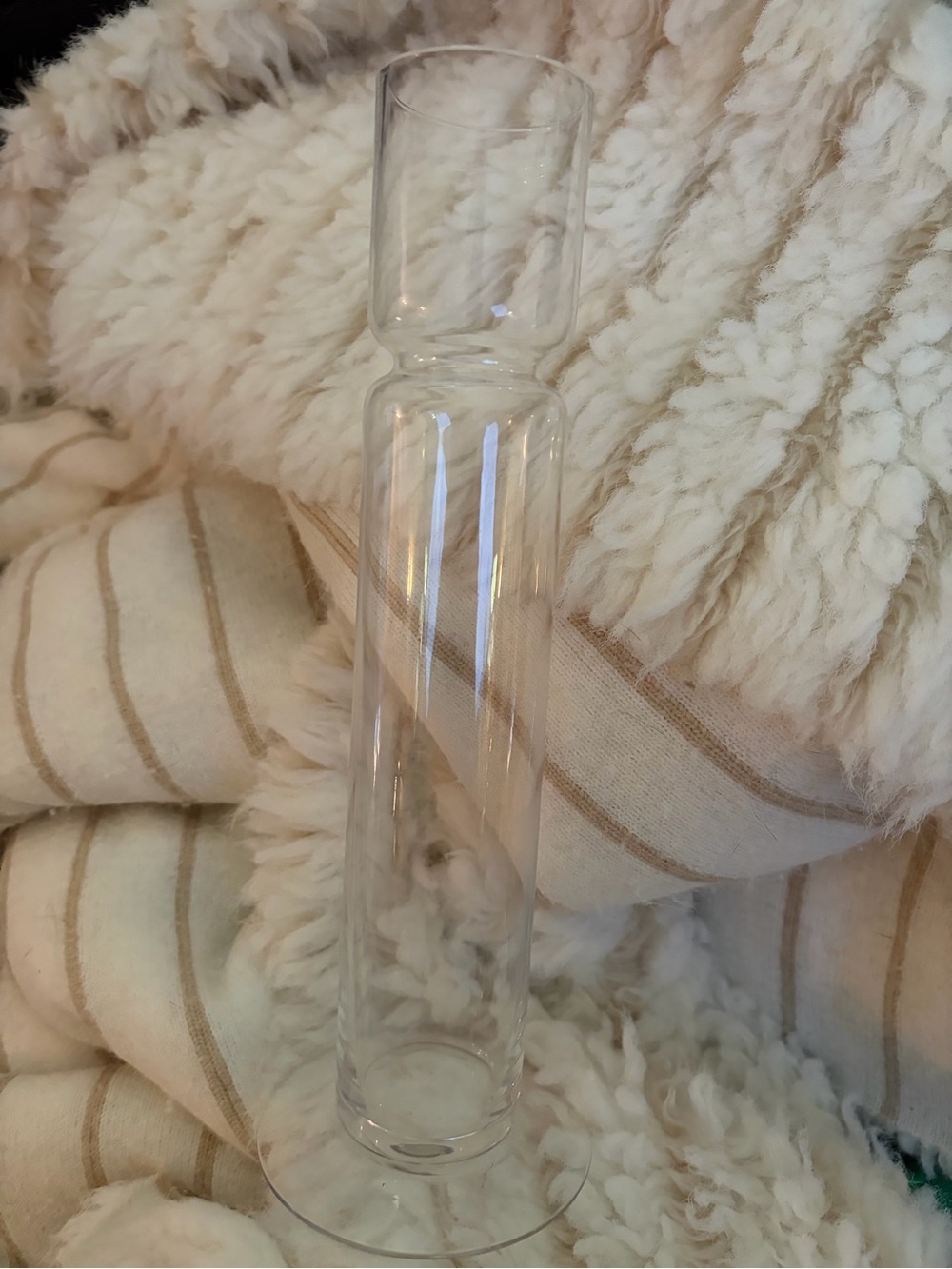 Clear Glass Tall Bud Vase - Minimalist Accent